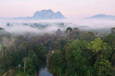 An aerial view of the stunning Khao Sok jungle in the morning light
